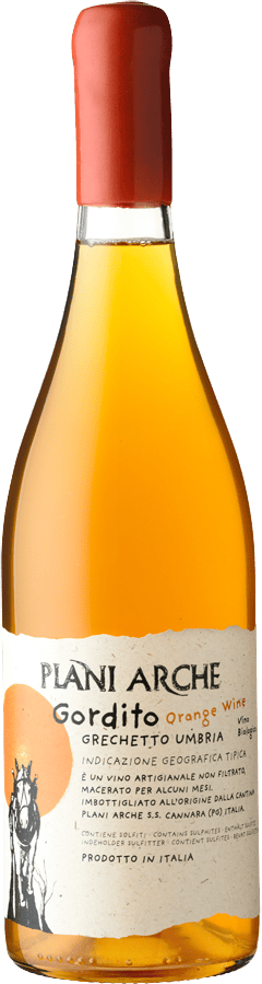 Plani Arche Grechetto "Gordito Orange"