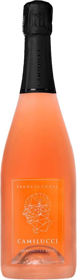 Stefano Camilucci Franciacorta "Ammonites" Dosage Zero Rose