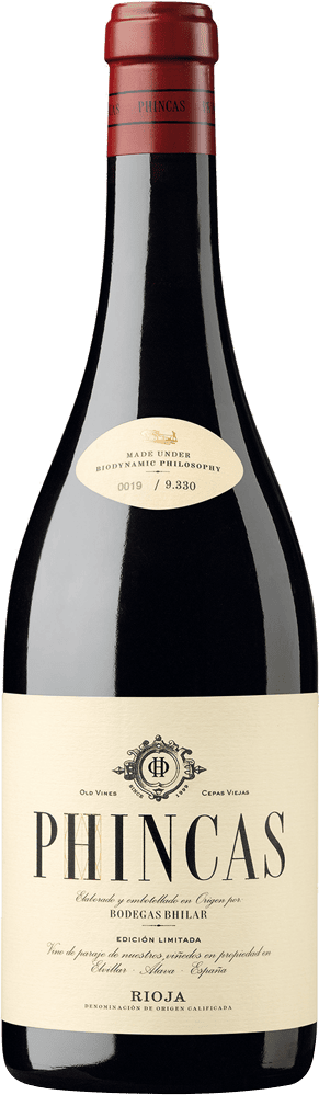 Bhilar Rioja "Phincas" Bhilar Rioja "Phincas"