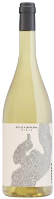 Escala Humana Livvera Malvasia
